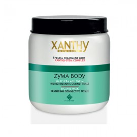 Histomer Xanthy Zyma Body 250g